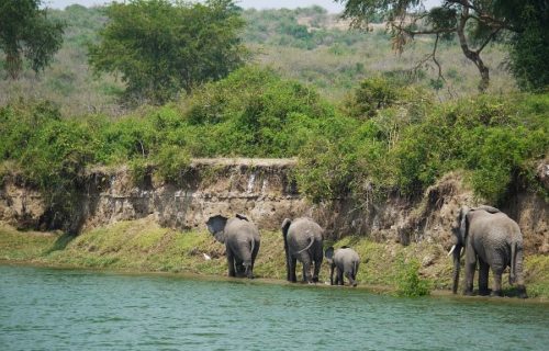 4 Days Queen Elizabeth National Park Safari - Kabira Uganda Safaris