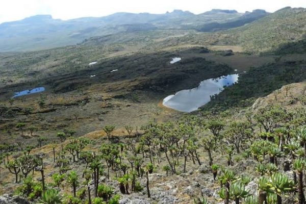 Mountain Elgon hiking - hiking safaris in Uganda