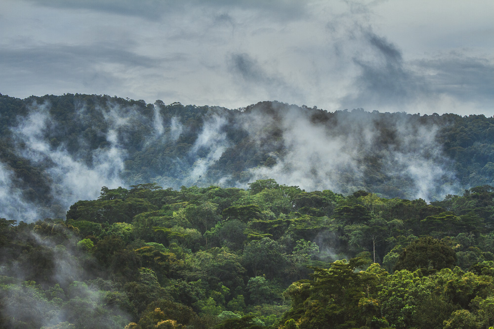 Where is Bwindi Impenetrable National Park?