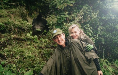 Ellen DeGeneres and wife trek Mountain Gorillas in Rwanda