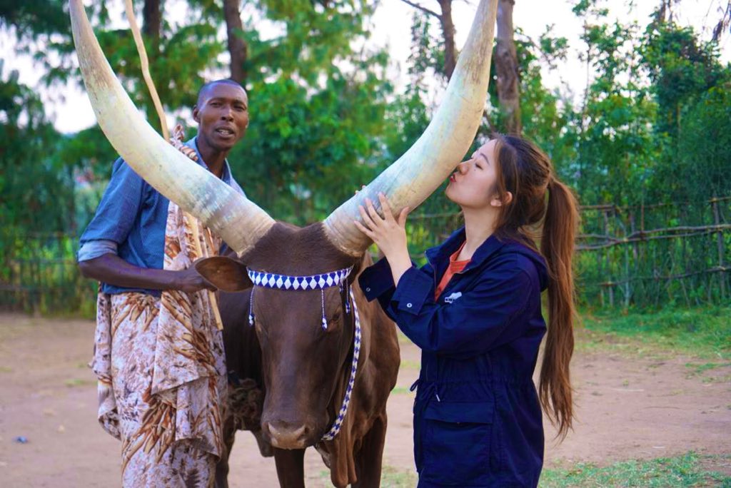 Long Horns Nyanaza district - Cultural tours in Rwanda