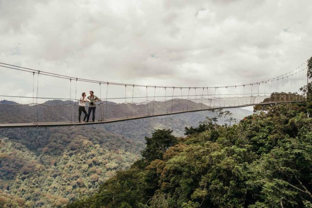 nyungwe Park canopy walk