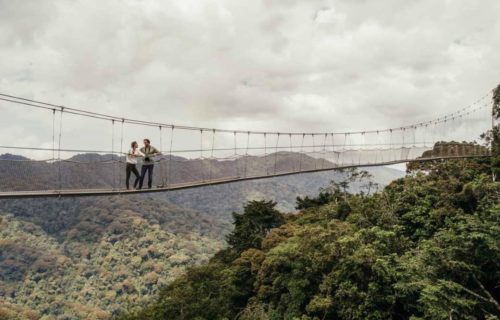 nyungwe Park canopy walk