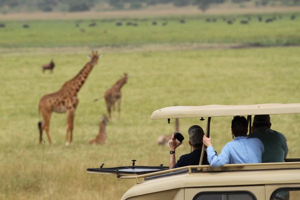 Game Drive in Akagera National Park Rwanda