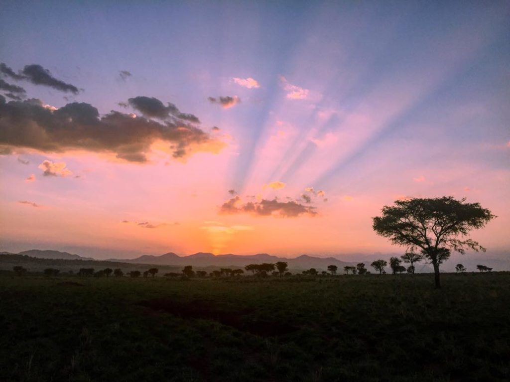 Kidepo Valley National Park Magnificent ringed Plains