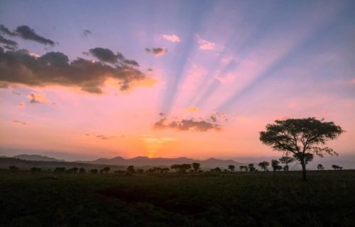 Kidepo Valley National Park Magnificent ringed Plains