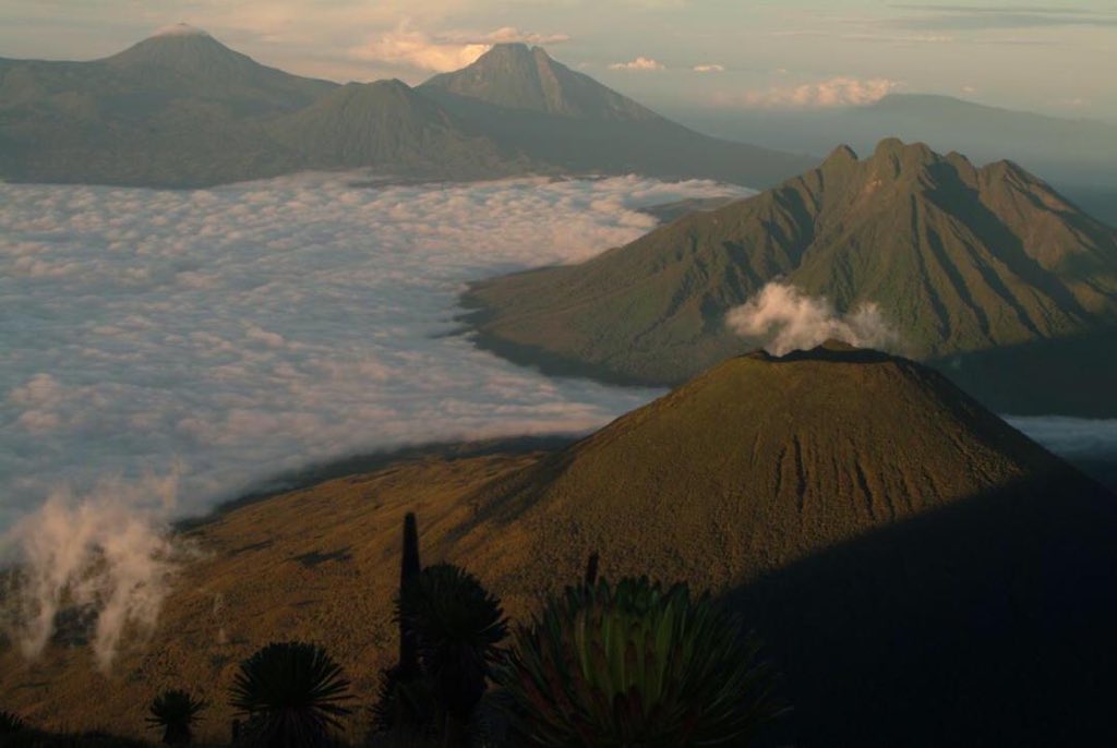 Virunga mountains in Volcanoes National Park
