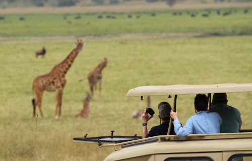 Akagera National Park