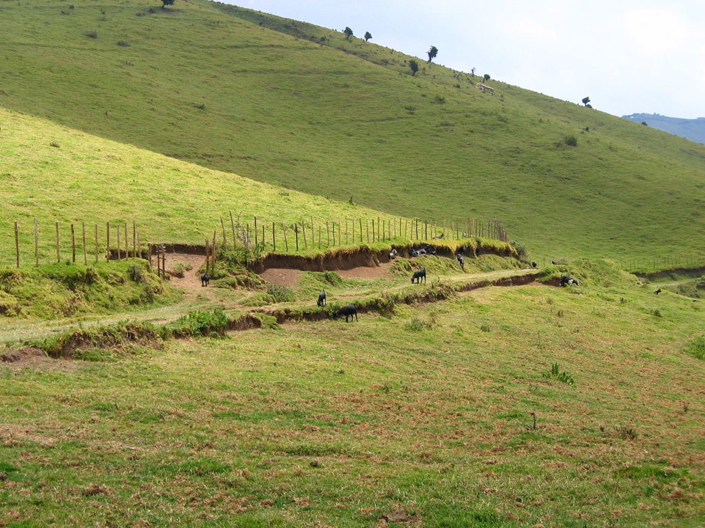 Gishwati Mukura National Park Rwanda - Travel Guide