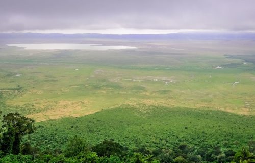 Ngorongoro Conservation Area