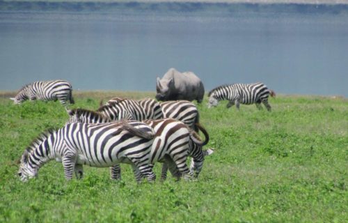 Lake Manyara National Park