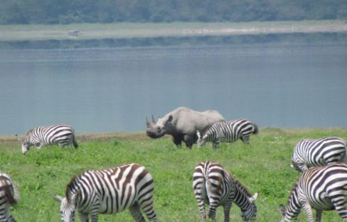 Tarangire National Park