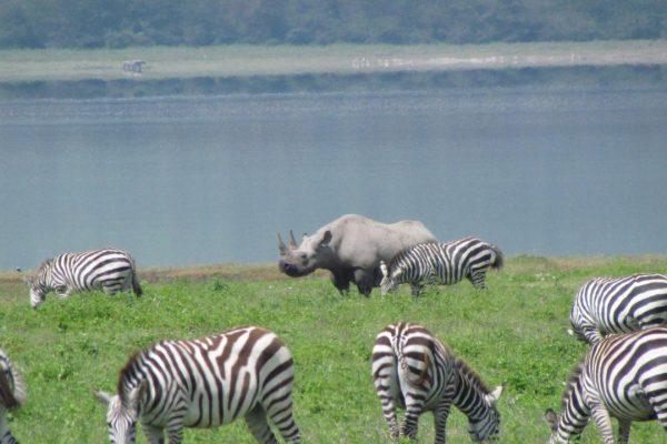 Tarangire National Park