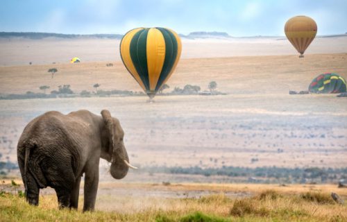 how-get-around-kenya