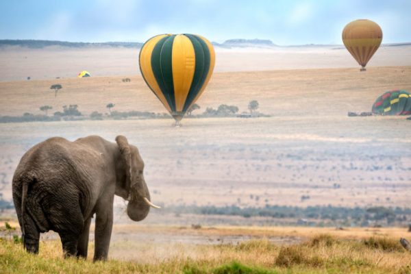 how-get-around-kenya