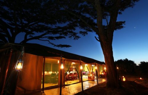 Lemala Ngorongoro Tented Camp