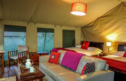 Lemala Ndutu Mobile Tented Camp, Serengeti National Park, Tanzania - 2023 / 2024