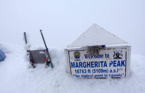 Magherita Peak - Rwenzori-Mountains-Trekking