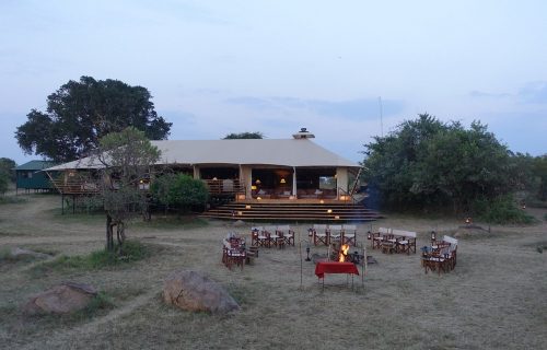 Serengeti Bushtops Camp