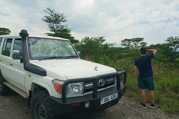 Car rental with a driver guide in Uganda