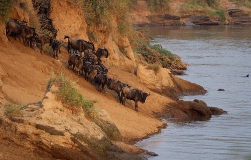 Masai Mara Game Reserve