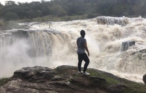 Pakuba safari Lodge - Murchison Falls