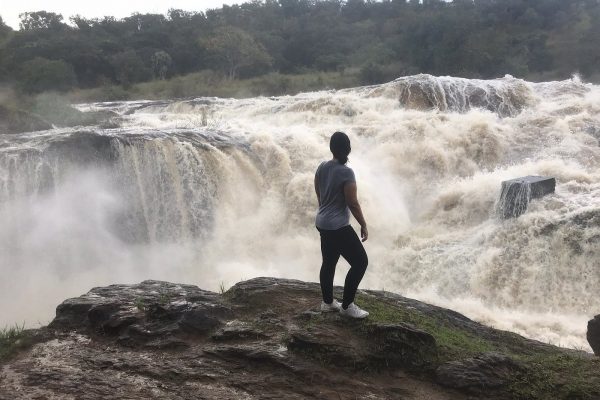 Pakuba safari Lodge - Murchison Falls