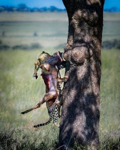 Serengeti National Park