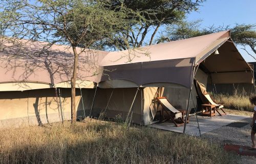 Serengeti Sametu Camp -10 Days Tanzania and Uganda Safari