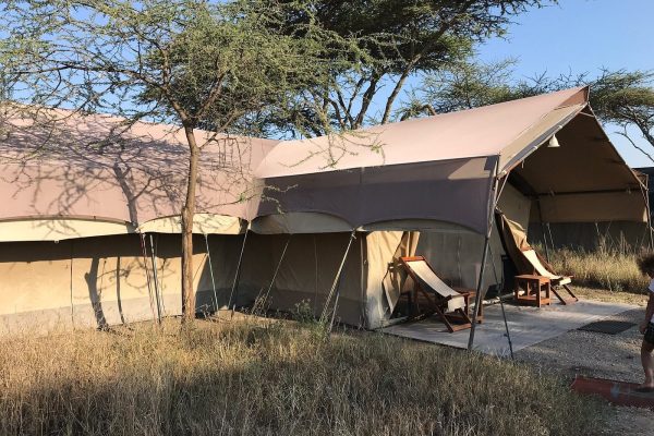 Serengeti Sametu Camp -10 Days Tanzania and Uganda Safari