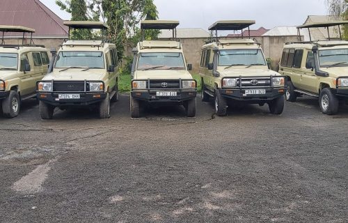 Tanzania 4×4 car rental drives