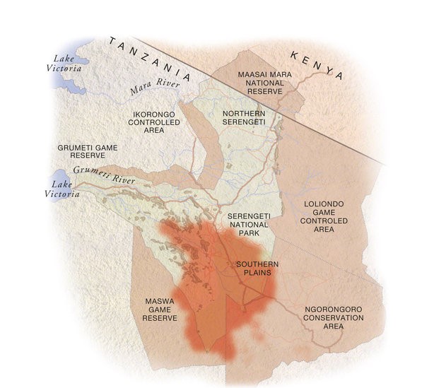 April: the herds start migrating north, through Moru Kopjes and Seronera areas