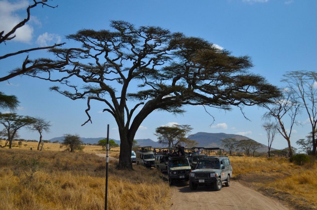 Game Drives in Serengeti