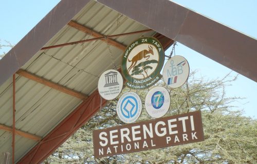 Serengeti