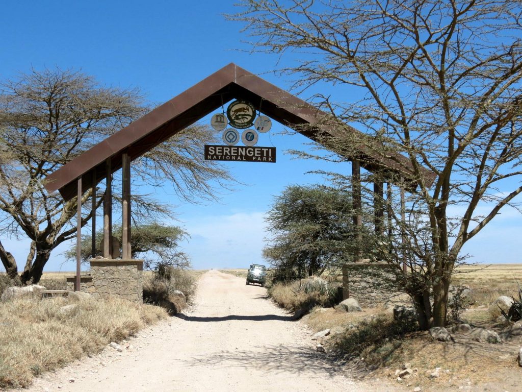 Seronera - Serengeti