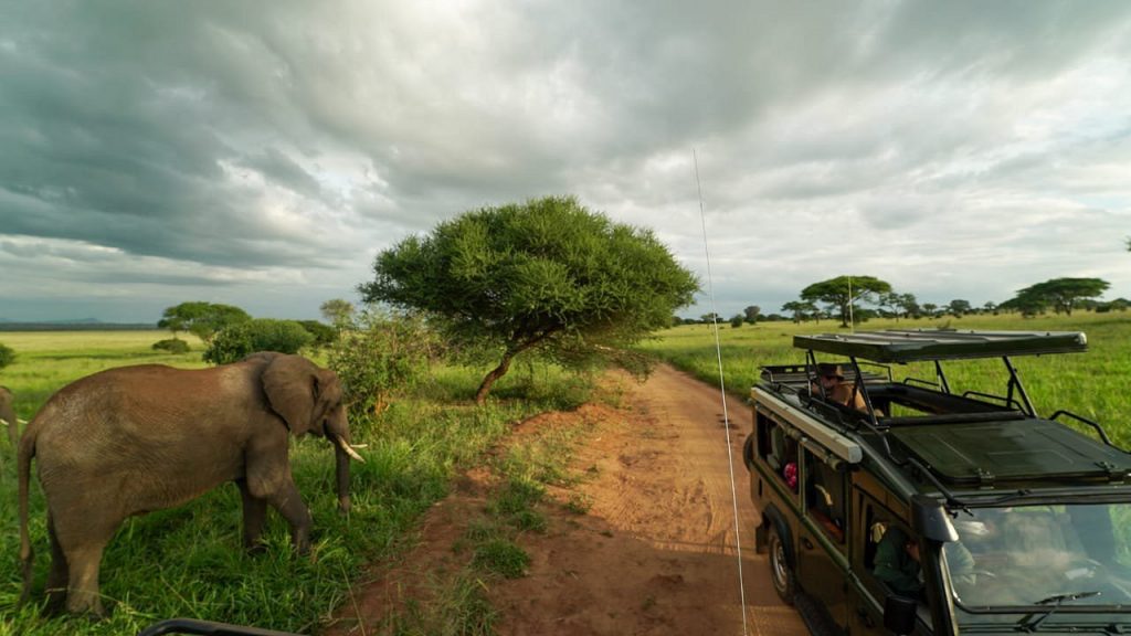 Tarangire National Park