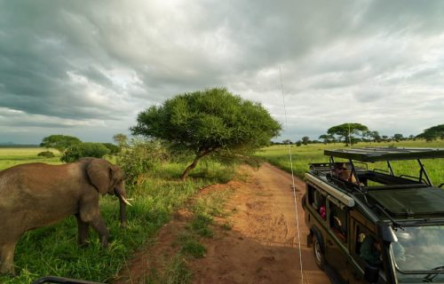 Tarangire National Park