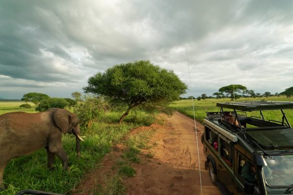 Tarangire National Park