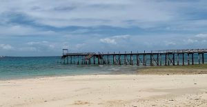 Zanzibar Island (Stone town, Prison Island