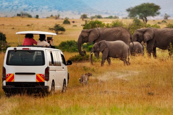Amboseli National Park safari