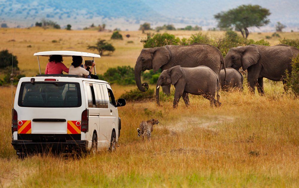 Amboseli National Park safari