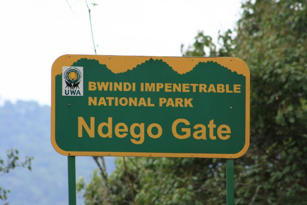 Bwindi Impenetrable Forest Uganda