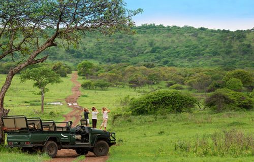 Family Safari Holidays in Rwanda