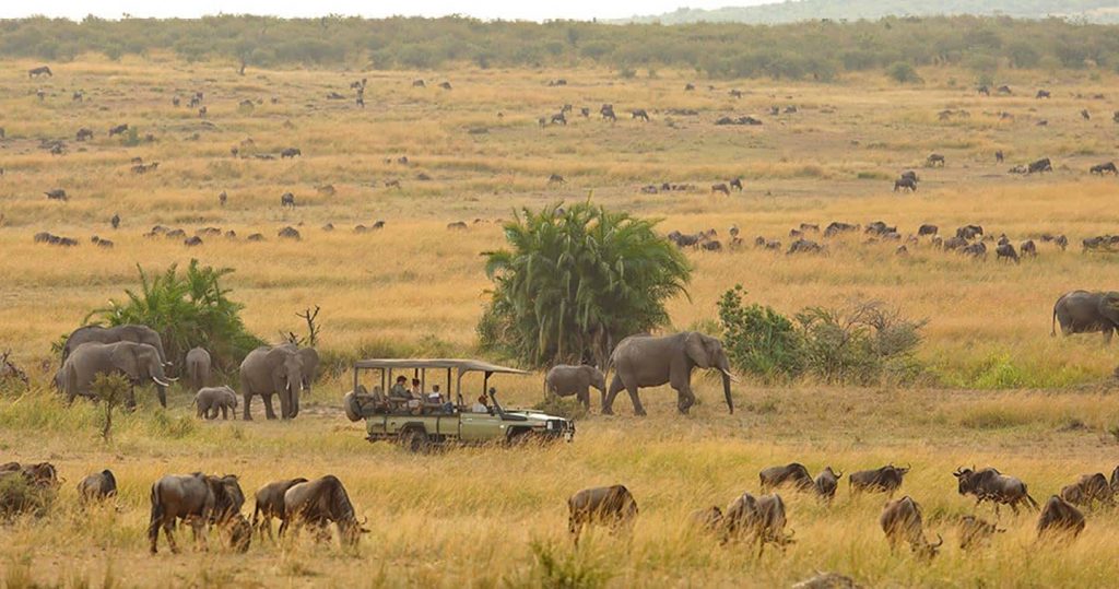 Game viewing safari in Serengeti