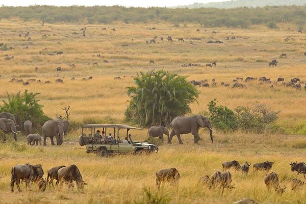 Game viewing safari in Serengeti