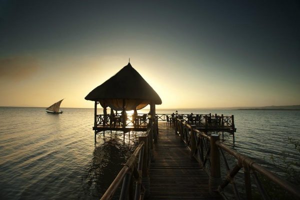 Jambo Impala Eco Lodge