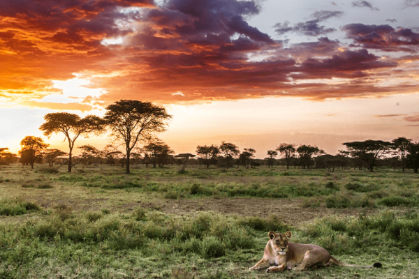 Katavi National Park