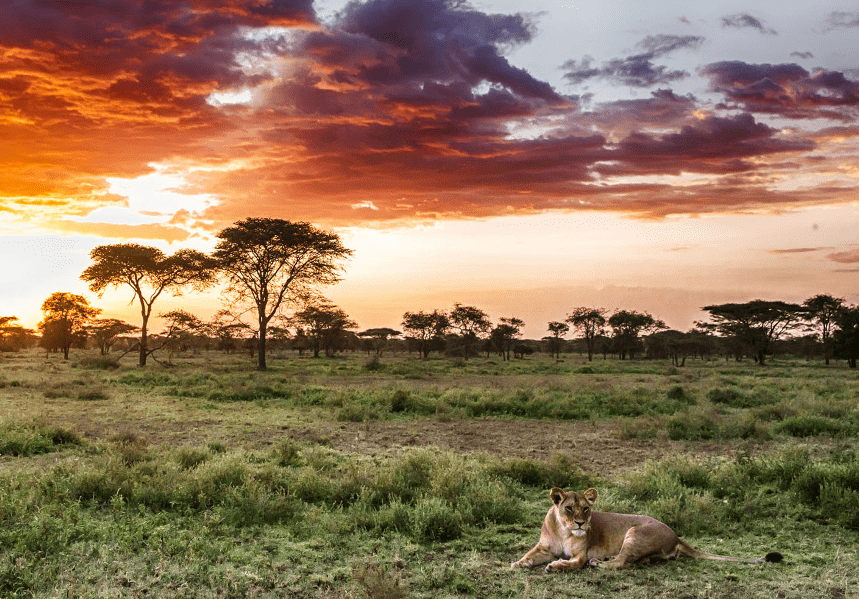 Katavi National Park