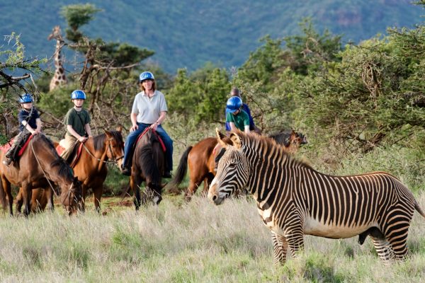 Kenya family safaris