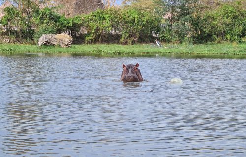 Lake Naivasha